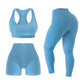 SereneFit 3 Piece Workout Sets For Women Seamless High Waisted Matching Exercise Leggings Shorts and Sports Bra Active Set (Sky Blue Large)